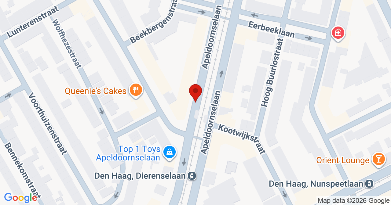 Kaart van het incident in 's-Gravenhage met de aanrijroutes van de gealarmeerde eenheden