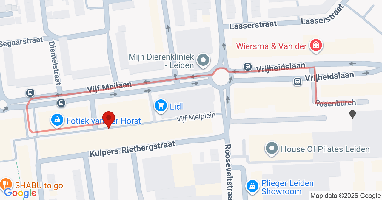 Kaart van het incident in Leiden met de aanrijroutes van de gealarmeerde eenheden