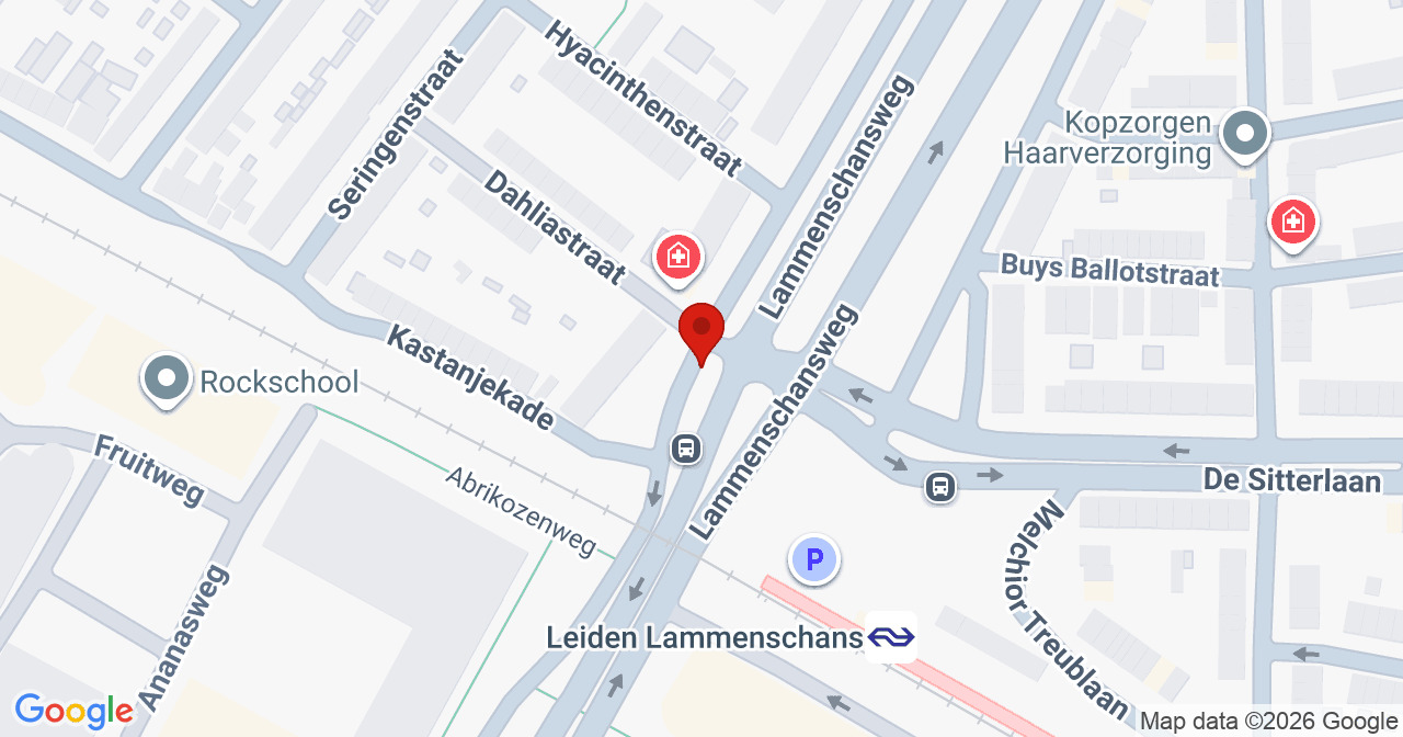 Kaart van het incident in Leiden met de aanrijroutes van de gealarmeerde eenheden