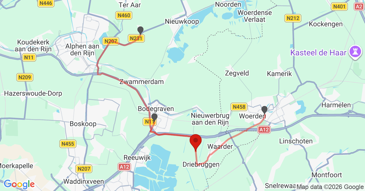 Kaart van het incident in Driebruggen met de aanrijroutes van de gealarmeerde eenheden