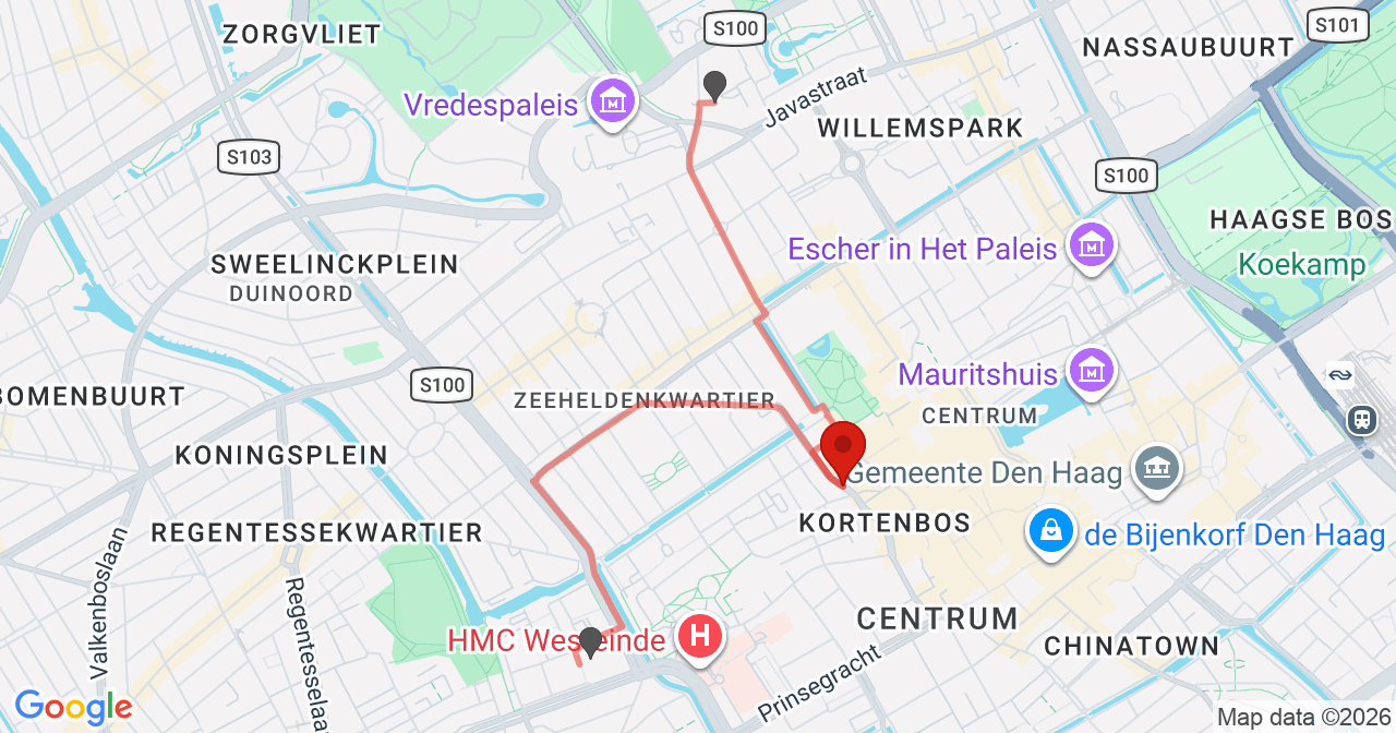 Kaart van het incident in 's-Gravenhage met de aanrijroutes van de gealarmeerde eenheden