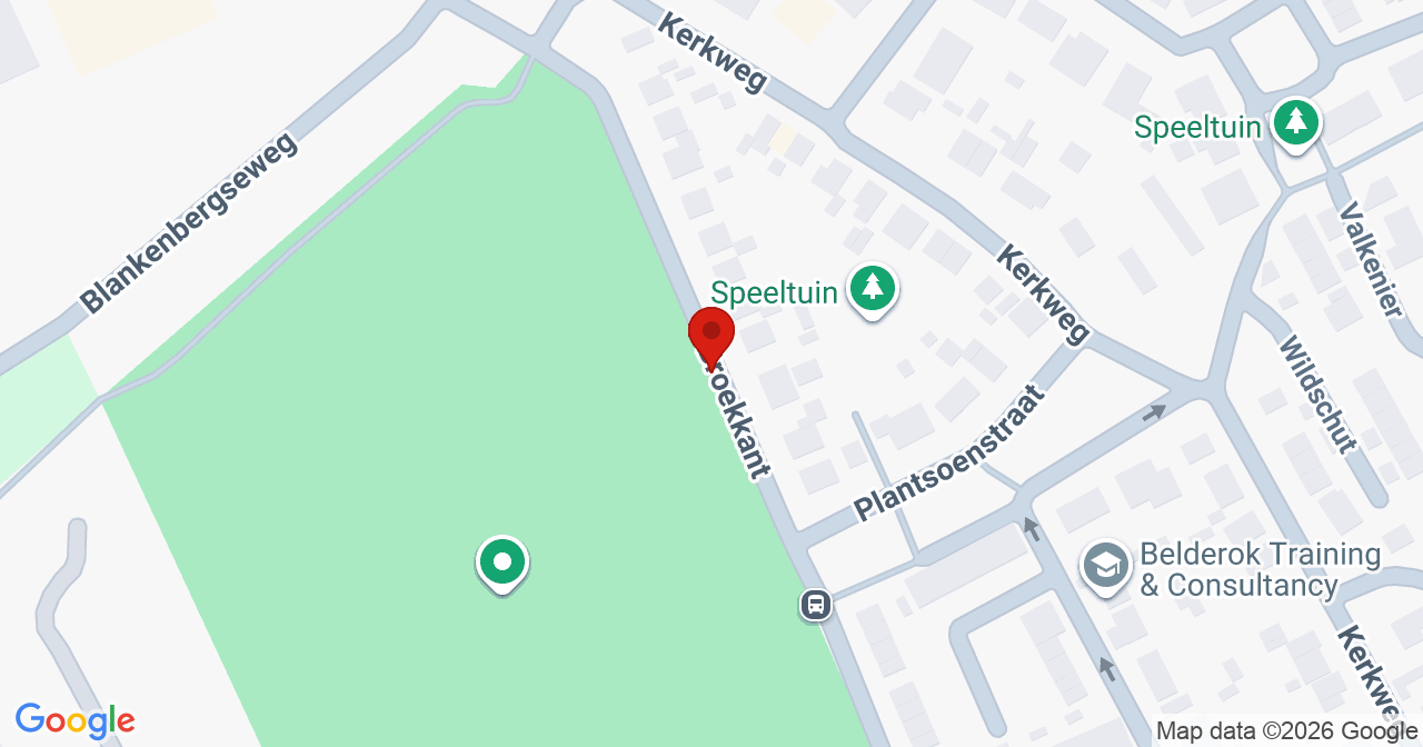 Kaart van het incident in Malden met de aanrijroutes van de gealarmeerde eenheden