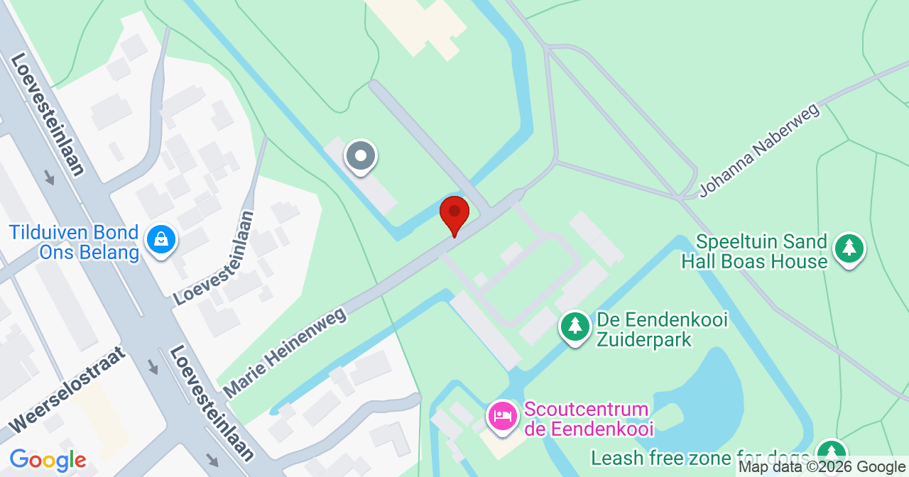 Kaart van het incident in 's-Gravenhage met de aanrijroutes van de gealarmeerde eenheden
