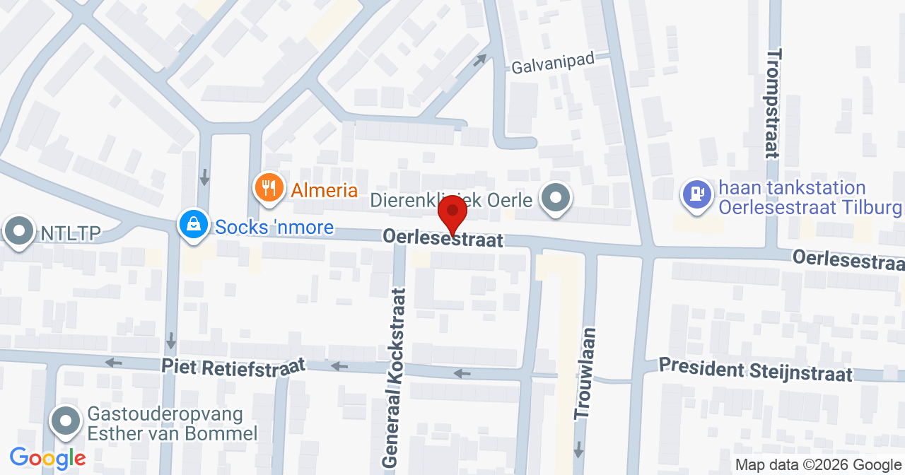 Kaart van het incident in Tilburg met de aanrijroutes van de gealarmeerde eenheden