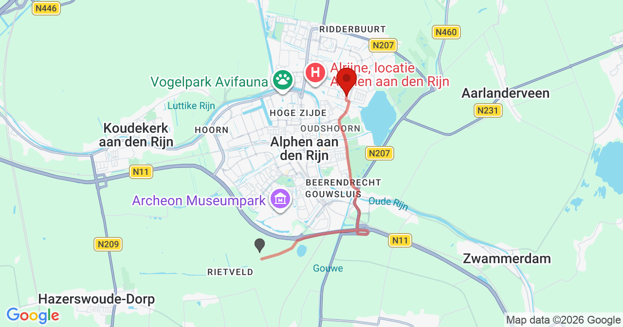 Kaart van het incident in Alphen aan den Rijn met de aanrijroutes van de gealarmeerde eenheden