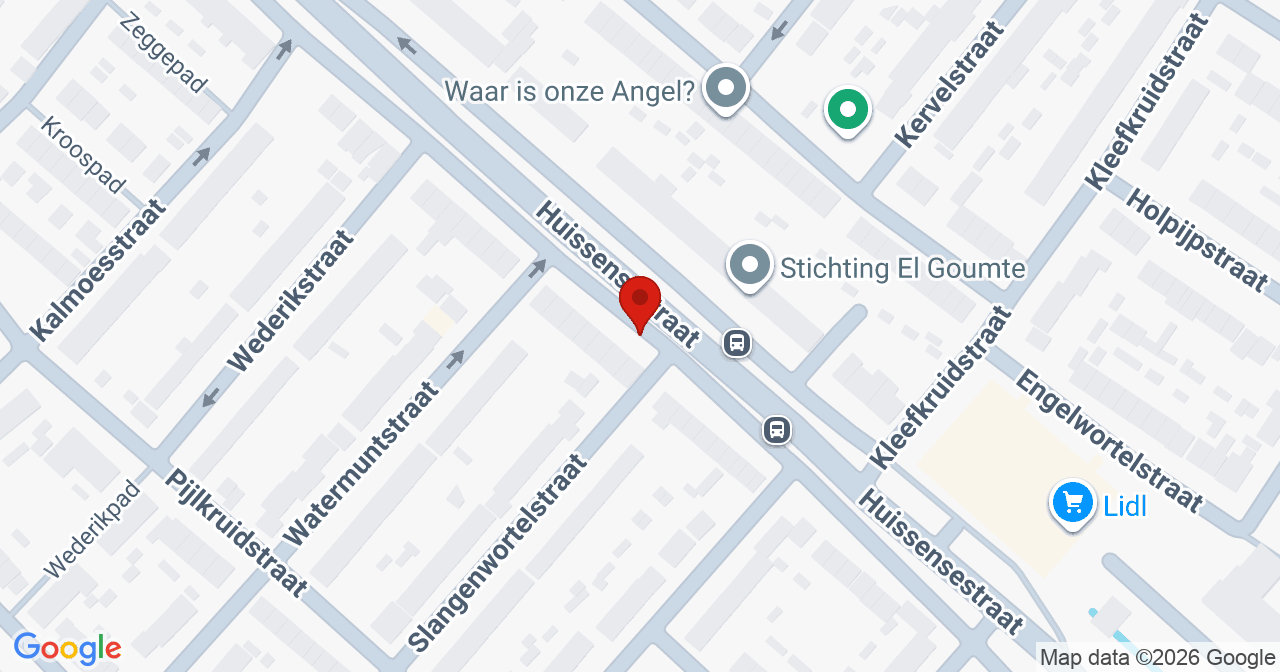 Kaart van het incident in Arnhem met de aanrijroutes van de gealarmeerde eenheden