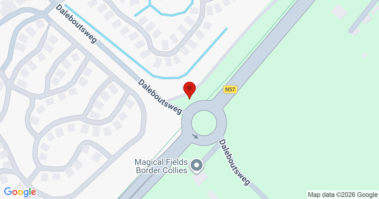Kaart van het incident in Burgh-Haamstede met de aanrijroutes van de gealarmeerde eenheden