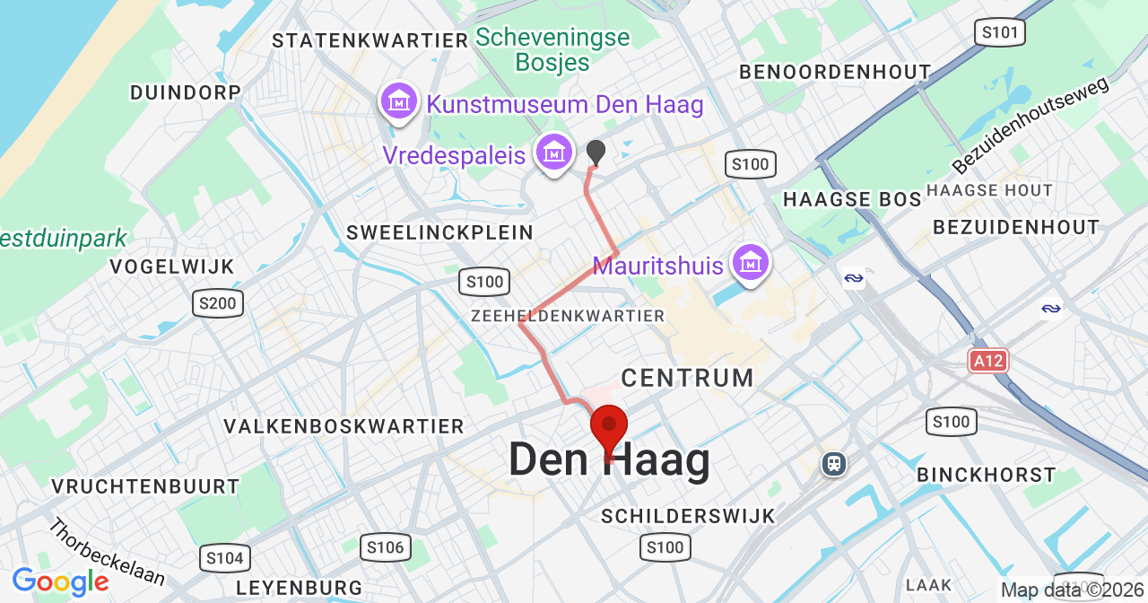 Kaart van het incident in den Haag Hs 300 met de aanrijroutes van de gealarmeerde eenheden
