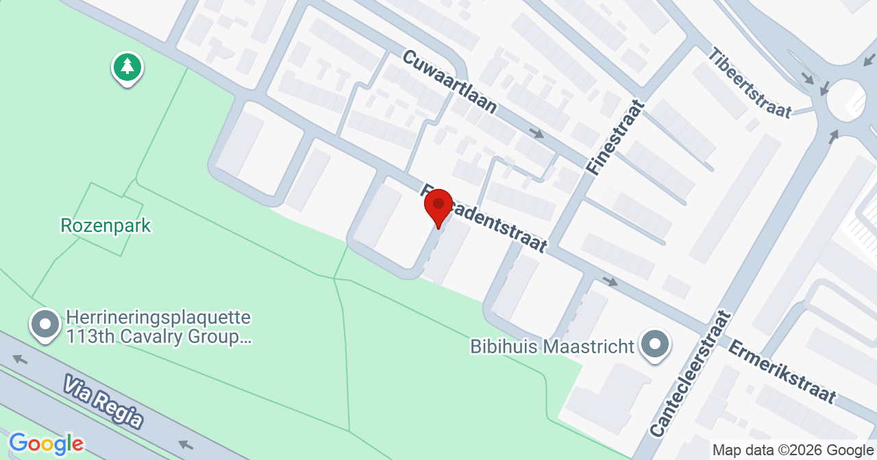 Kaart van het incident in Maastricht met de aanrijroutes van de gealarmeerde eenheden