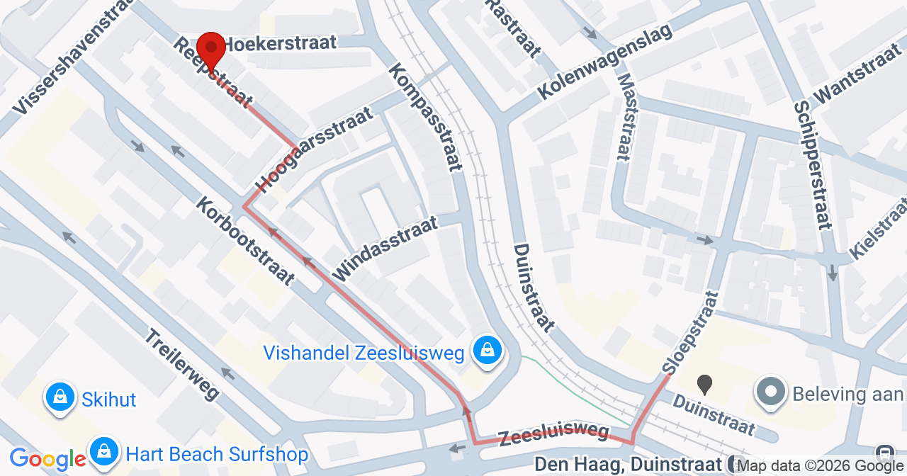 Kaart van het incident in 's-Gravenhage met de aanrijroutes van de gealarmeerde eenheden