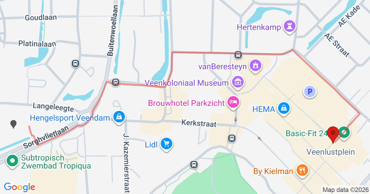 Kaart van het incident in Veendam met de aanrijroutes van de gealarmeerde eenheden