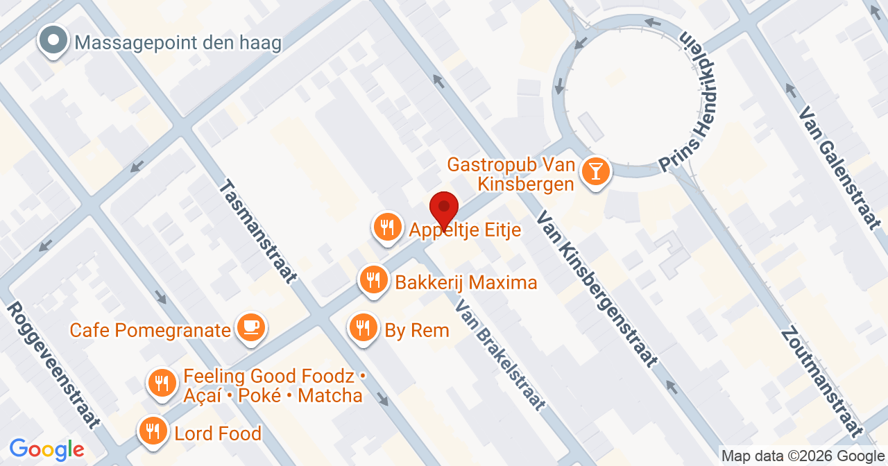 Kaart van het incident in 's-Gravenhage met de aanrijroutes van de gealarmeerde eenheden