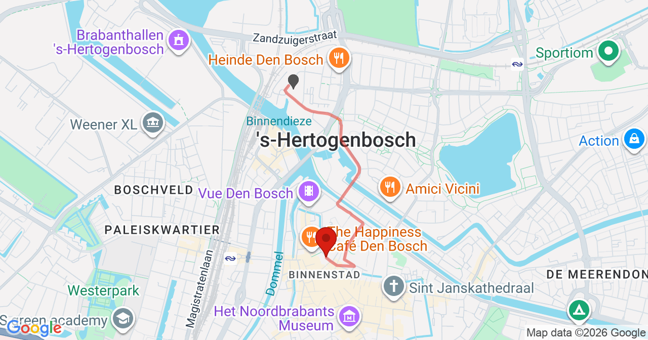 Kaart van het incident in 's-Hertogenbosch met de aanrijroutes van de gealarmeerde eenheden