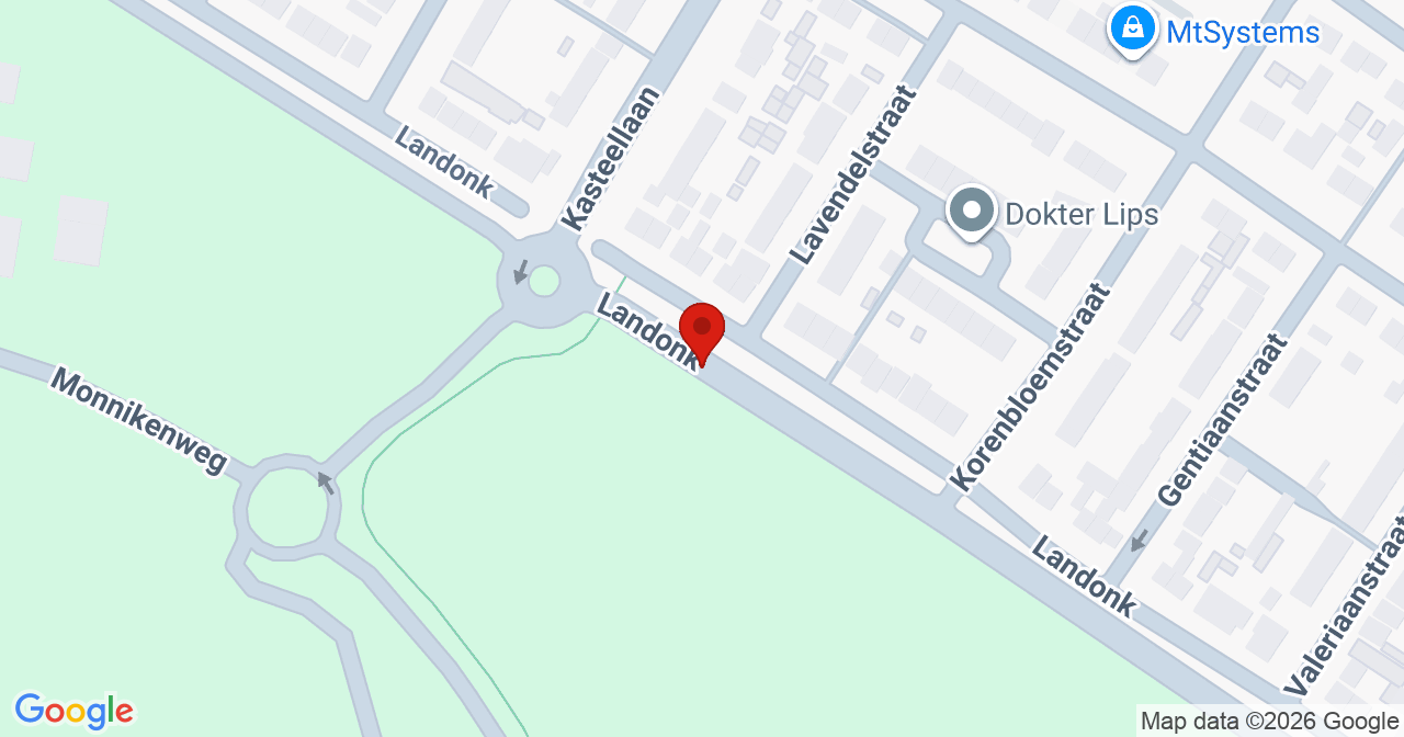 Kaart van het incident in Raamsdonksveer met de aanrijroutes van de gealarmeerde eenheden