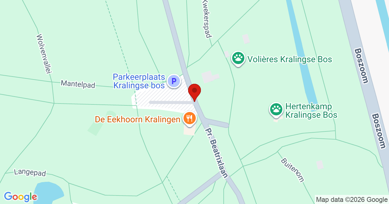 Kaart van het incident in Rotterdam met de aanrijroutes van de gealarmeerde eenheden