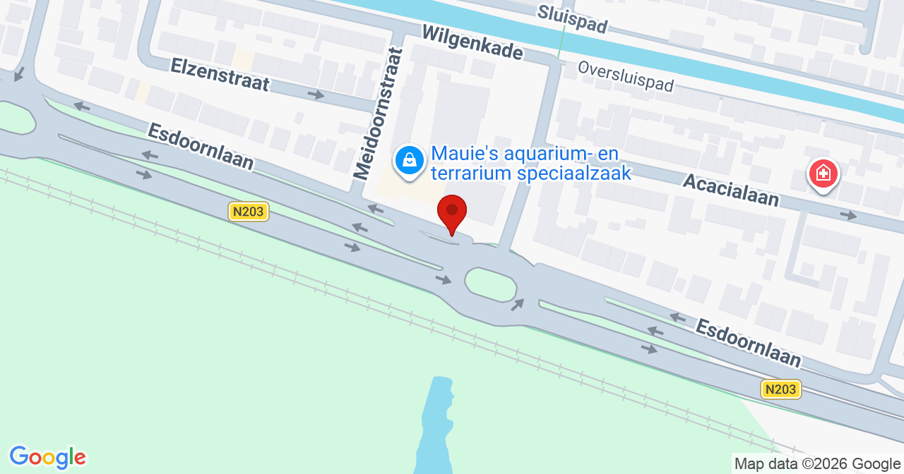 Kaart van het incident in Wormerveer met de aanrijroutes van de gealarmeerde eenheden