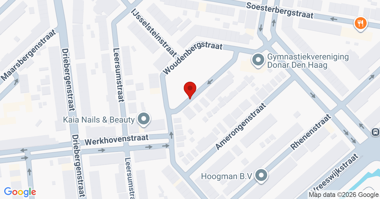 Kaart van het incident in 's-Gravenhage met de aanrijroutes van de gealarmeerde eenheden