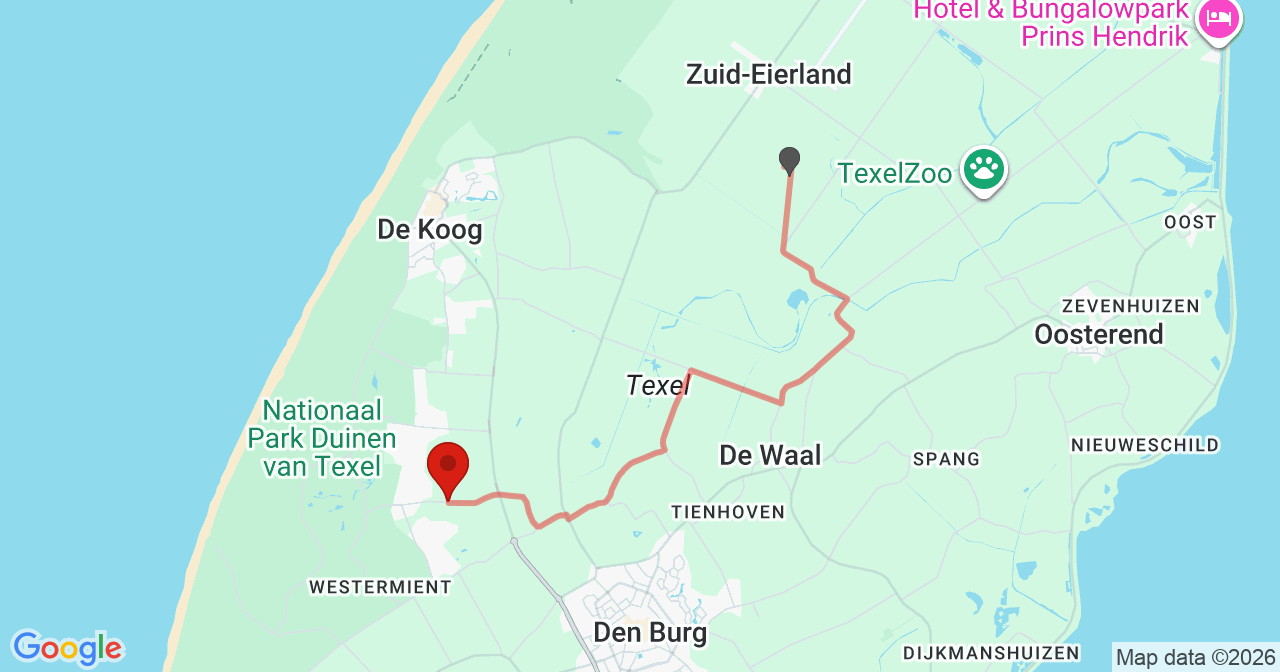 Kaart van het incident in Den Burg met de aanrijroutes van de gealarmeerde eenheden