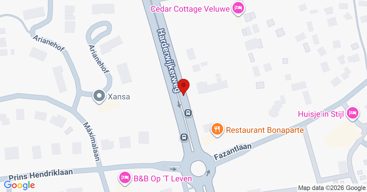 Kaart van het incident in Ermelo met de aanrijroutes van de gealarmeerde eenheden