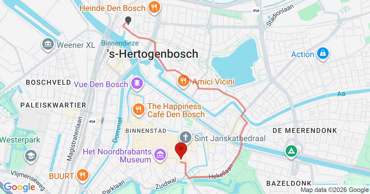 Kaart van het incident in 's-Hertogenbosch met de aanrijroutes van de gealarmeerde eenheden
