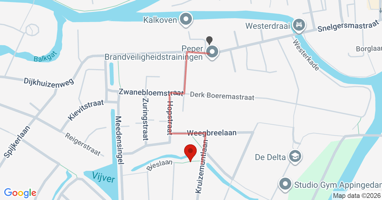 Kaart van het incident in Appingedam met de aanrijroutes van de gealarmeerde eenheden