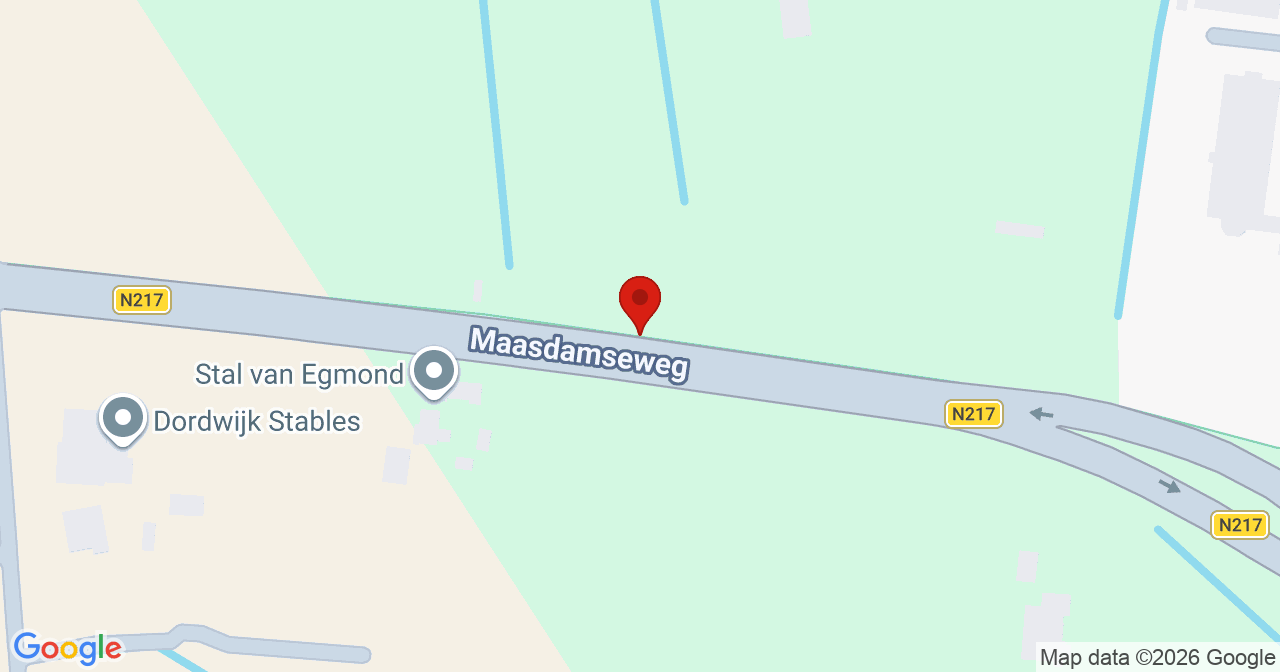 Kaart van het incident in 's-Gravendeel met de aanrijroutes van de gealarmeerde eenheden