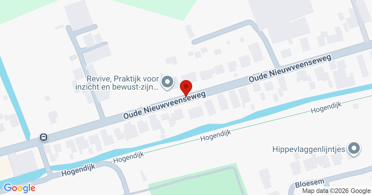 Kaart van het incident in Nieuwveen met de aanrijroutes van de gealarmeerde eenheden
