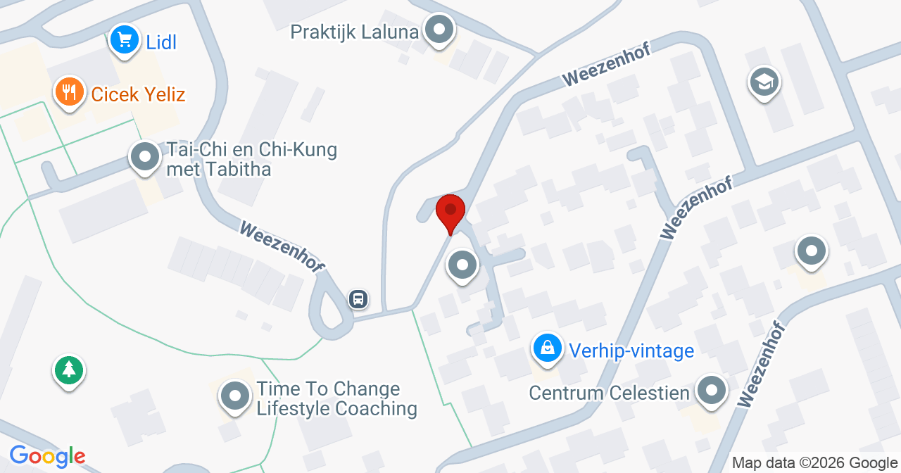 Kaart van het incident in Nijmegen met de aanrijroutes van de gealarmeerde eenheden