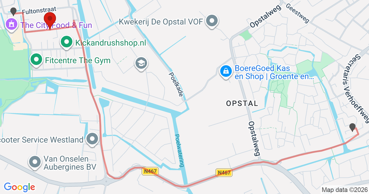 Kaart van het incident in 's-Gravenzande met de aanrijroutes van de gealarmeerde eenheden