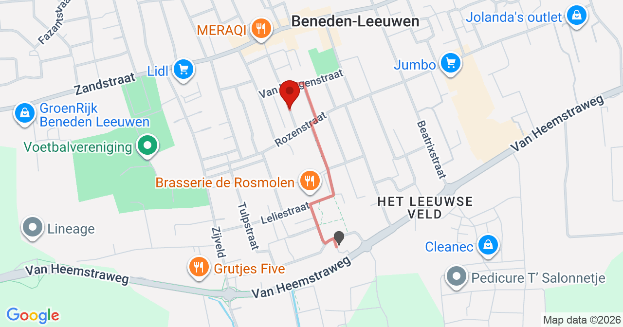 Kaart van het incident in Beneden-Leeuwen met de aanrijroutes van de gealarmeerde eenheden