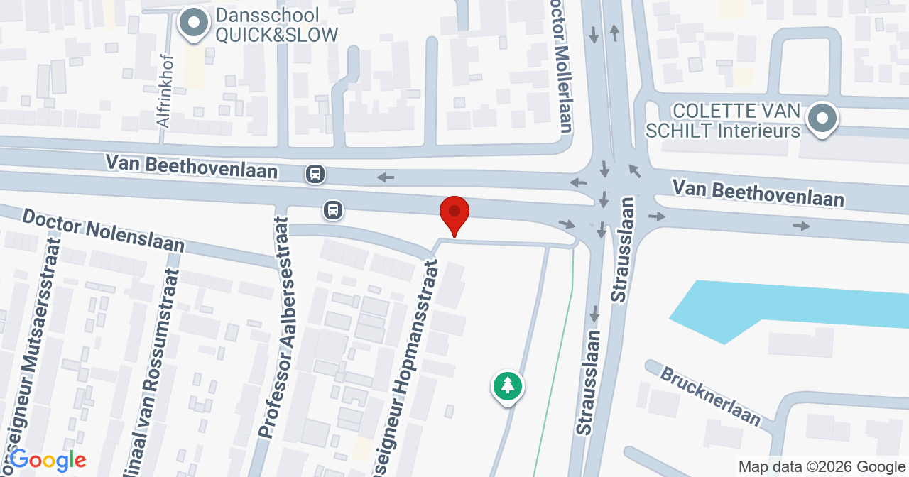 Kaart van het incident in Roosendaal met de aanrijroutes van de gealarmeerde eenheden