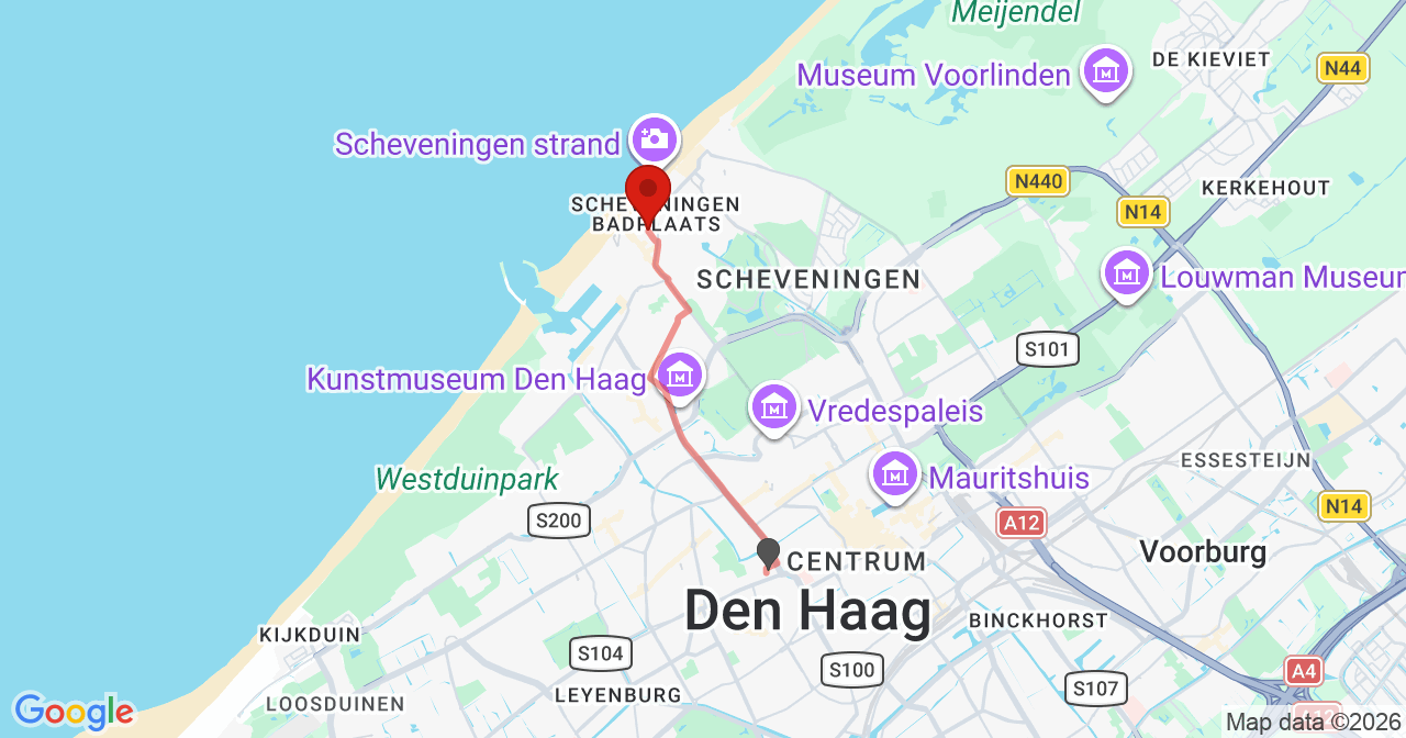 Kaart van het incident in 's-Gravenhage met de aanrijroutes van de gealarmeerde eenheden