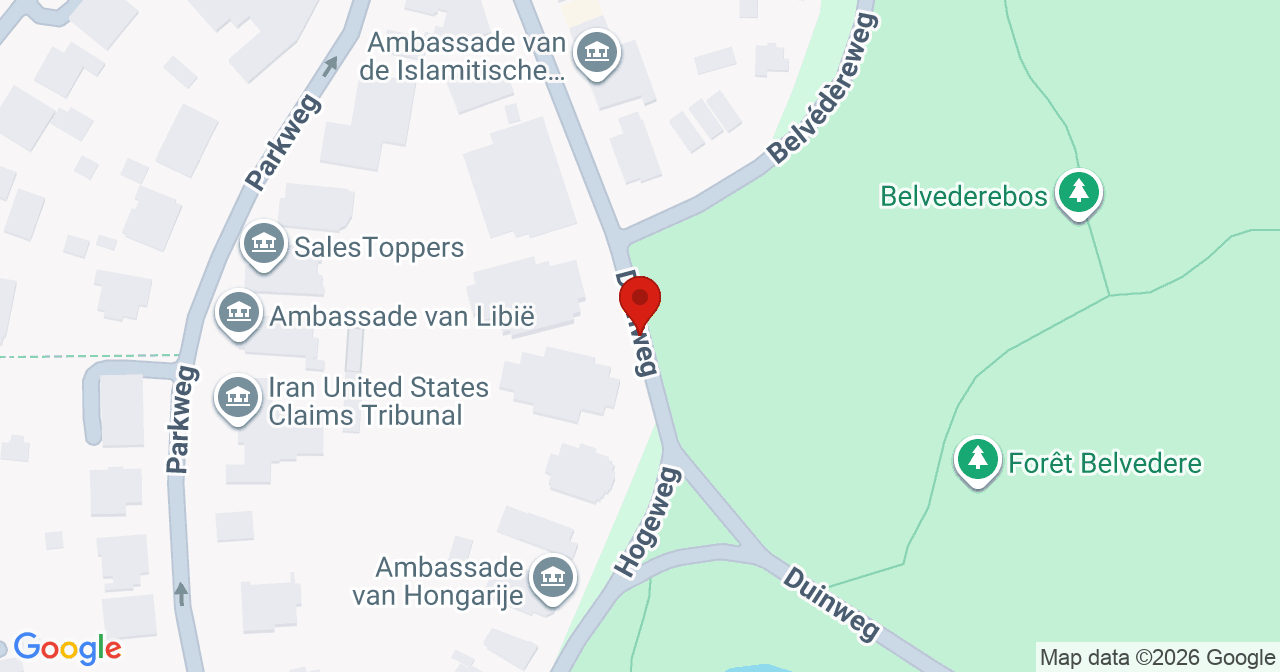 Kaart van het incident in 's-Gravenhage met de aanrijroutes van de gealarmeerde eenheden