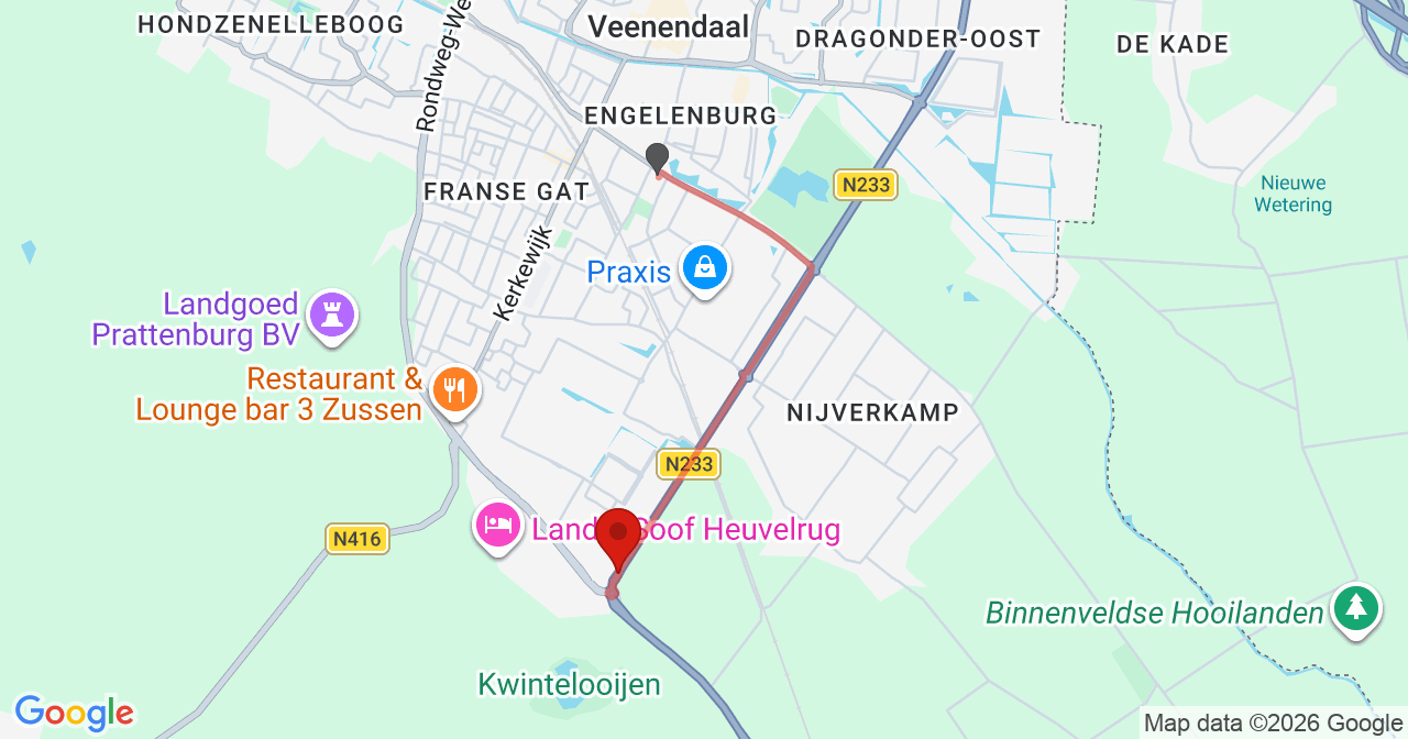 Kaart van het incident in Rhenen met de aanrijroutes van de gealarmeerde eenheden