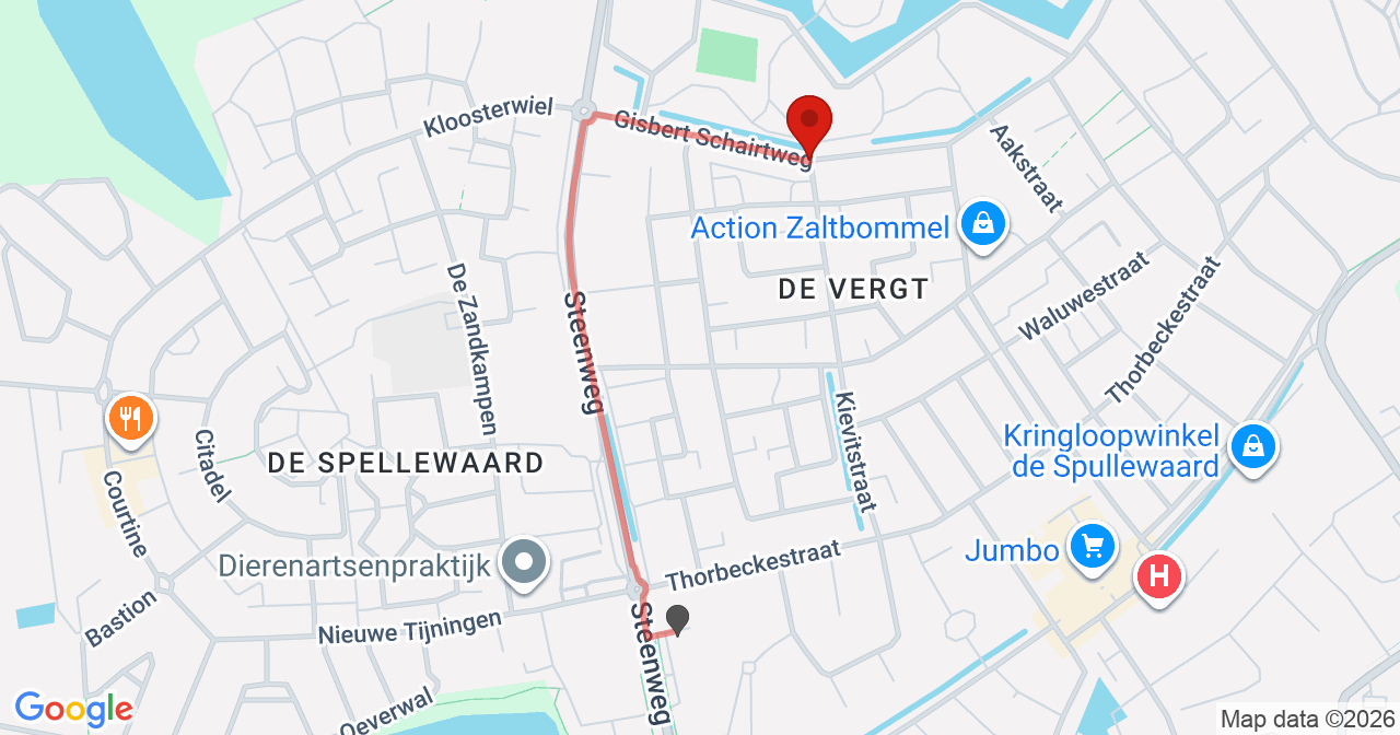 Kaart van het incident in Zaltbommel met de aanrijroutes van de gealarmeerde eenheden