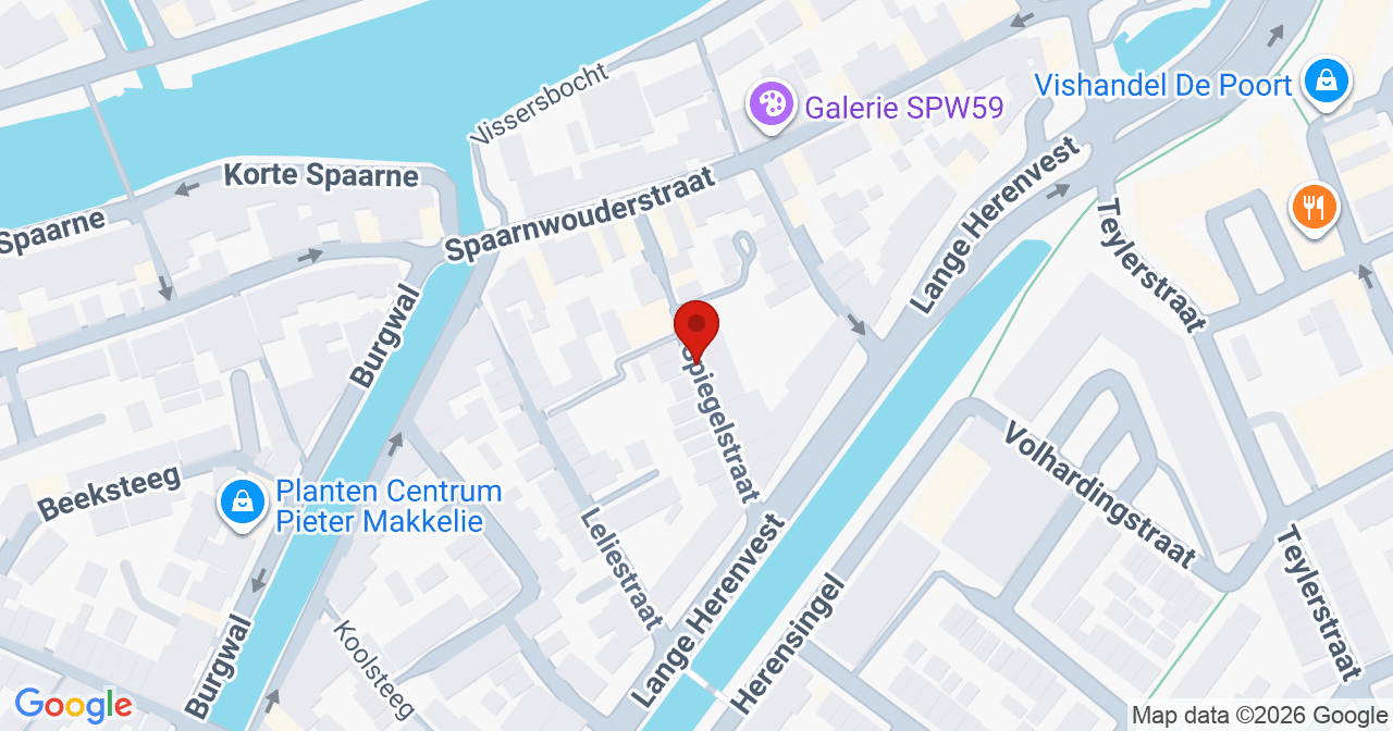 Kaart van het incident in Haarlem met de aanrijroutes van de gealarmeerde eenheden