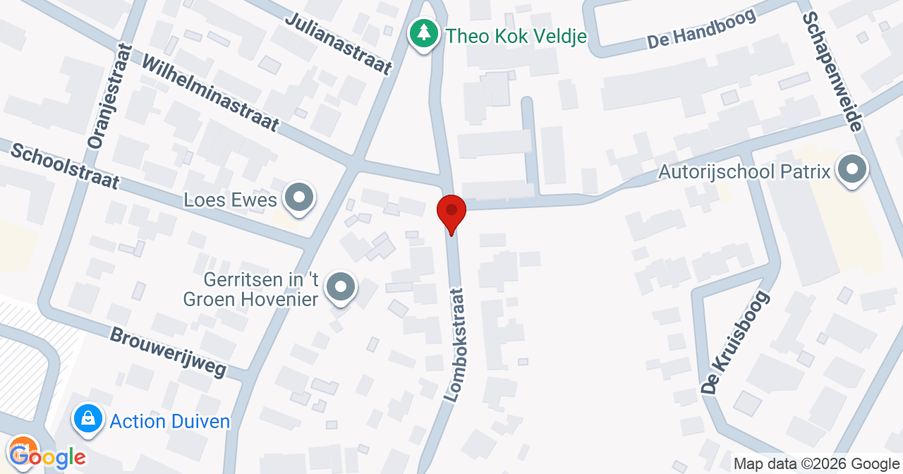 Kaart van het incident in Duiven met de aanrijroutes van de gealarmeerde eenheden