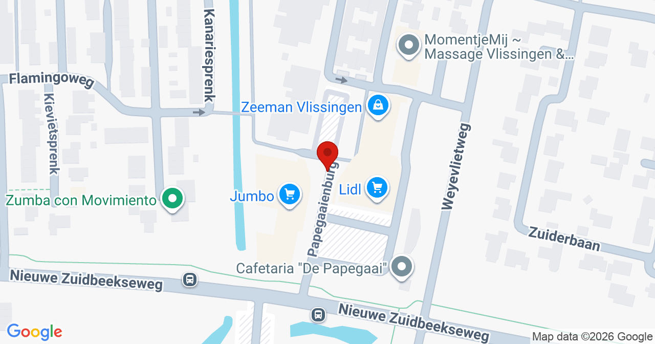 Kaart van het incident in Vlissingen met de aanrijroutes van de gealarmeerde eenheden