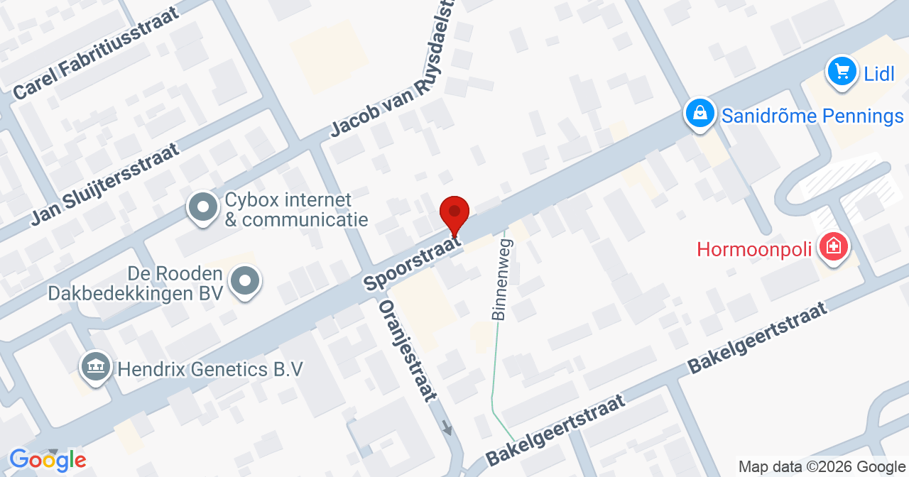 Kaart van het incident in Boxmeer met de aanrijroutes van de gealarmeerde eenheden