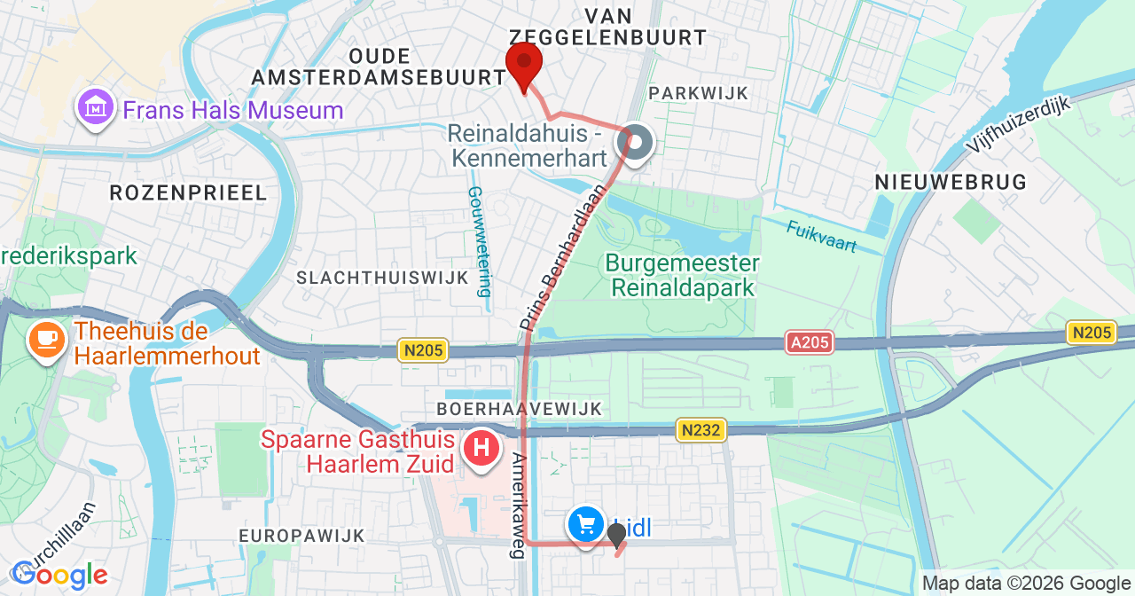 Kaart van het incident in Haarlem met de aanrijroutes van de gealarmeerde eenheden