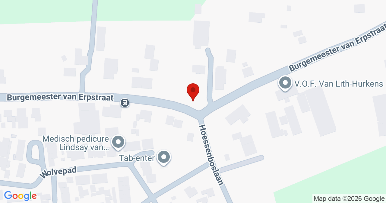 Kaart van het incident in Berghem met de aanrijroutes van de gealarmeerde eenheden