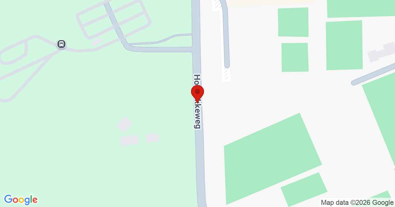 Kaart van het incident in Borne met de aanrijroutes van de gealarmeerde eenheden
