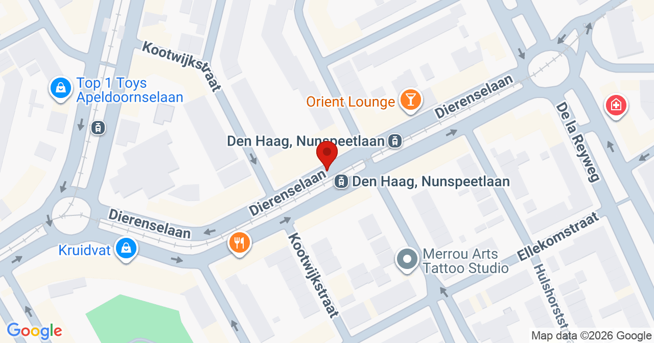 Kaart van het incident in 's-Gravenhage met de aanrijroutes van de gealarmeerde eenheden