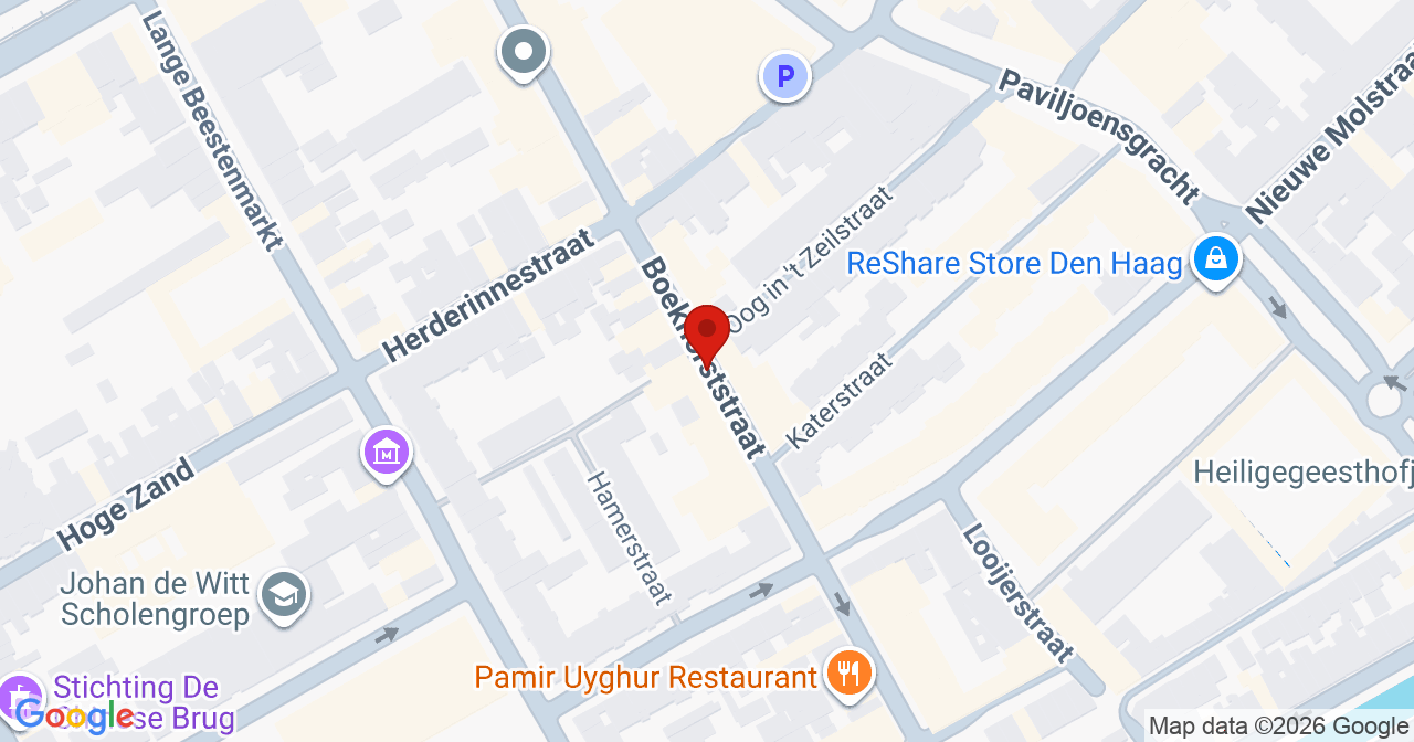 Kaart van het incident in 's-Gravenhage met de aanrijroutes van de gealarmeerde eenheden