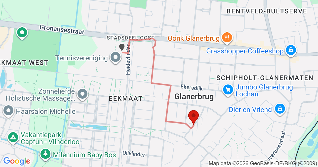 Kaart van het incident in Enschede met de aanrijroutes van de gealarmeerde eenheden