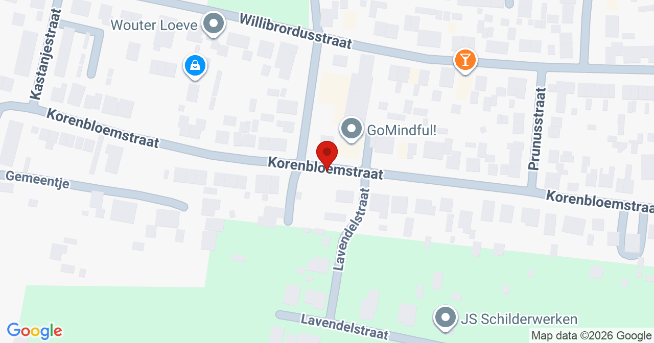 Kaart van het incident in Boven-Leeuwen met de aanrijroutes van de gealarmeerde eenheden