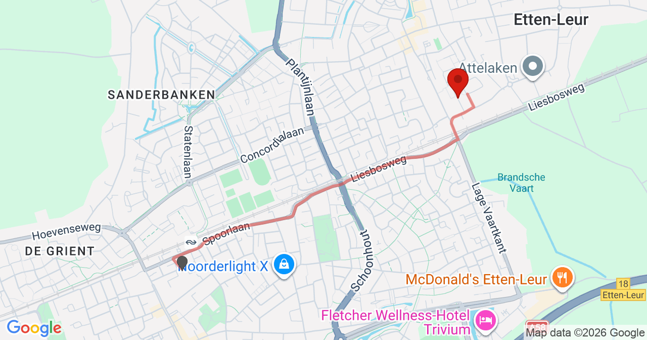 Kaart van het incident in Etten-Leur met de aanrijroutes van de gealarmeerde eenheden