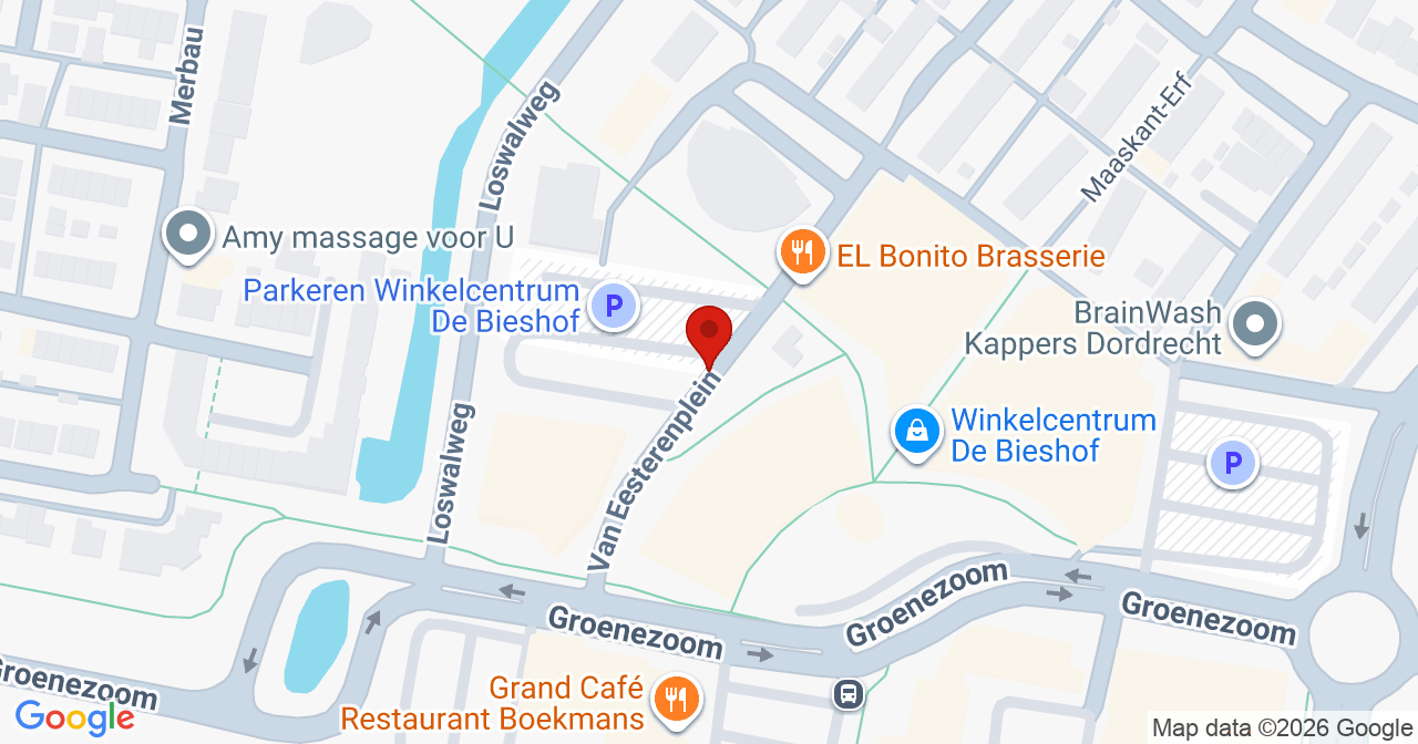 Kaart van het incident in Dordrecht met de aanrijroutes van de gealarmeerde eenheden