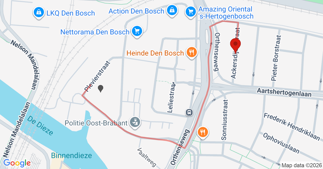 Kaart van het incident in 's-Hertogenbosch met de aanrijroutes van de gealarmeerde eenheden