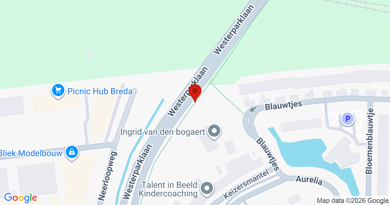 Kaart van het incident in Breda met de aanrijroutes van de gealarmeerde eenheden